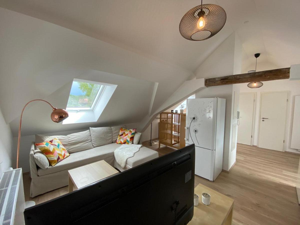 Helle 2 Zi. Wohnung Naehe Flughafen Muenchen Haimhausen  Dış mekan fotoğraf